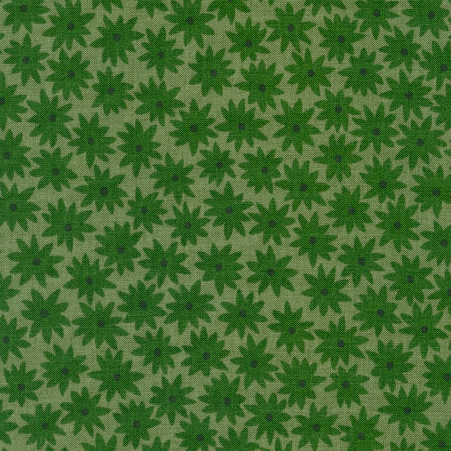 Flowers in Basil - Paintbox